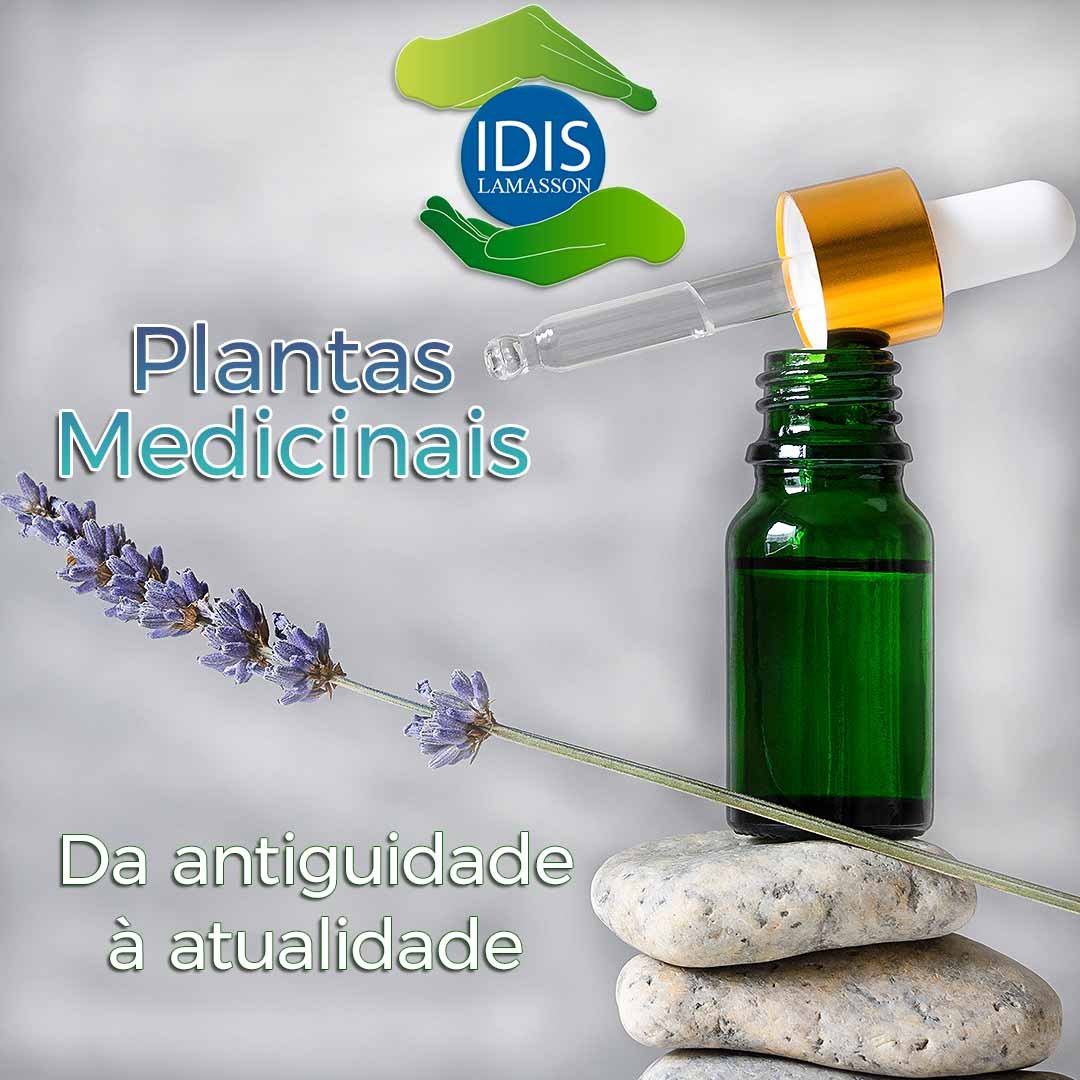 Plantas Medicinais – Da antiguidade à atualidade